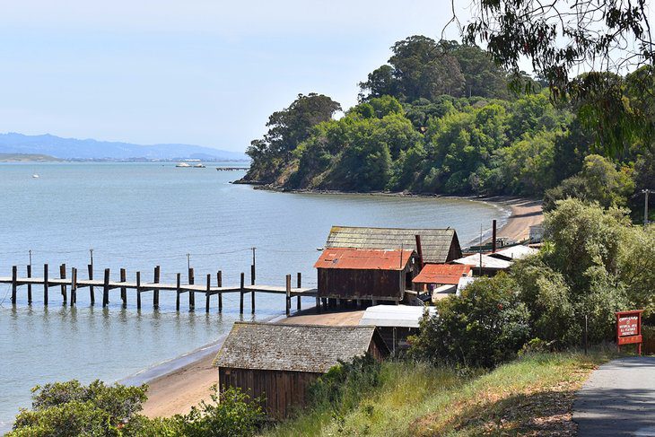 14 Top-Rated Campgrounds near San Francisco, CA