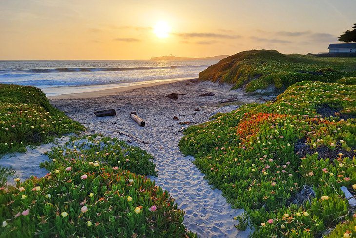 14 Top-Rated Campgrounds near San Francisco, CA