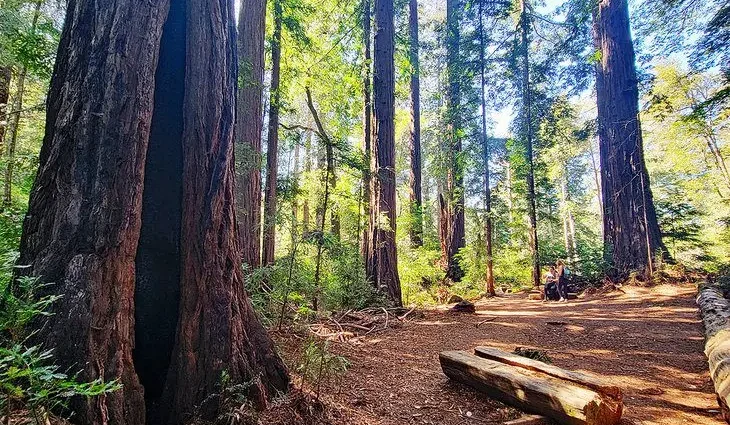 14 Top-Rated Campgrounds near Santa Cruz, CA