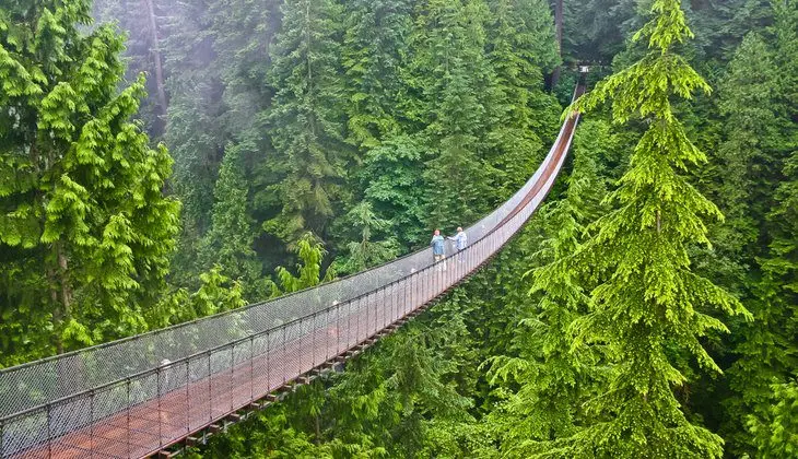 14 Top-Rated Day Trips from Vancouver