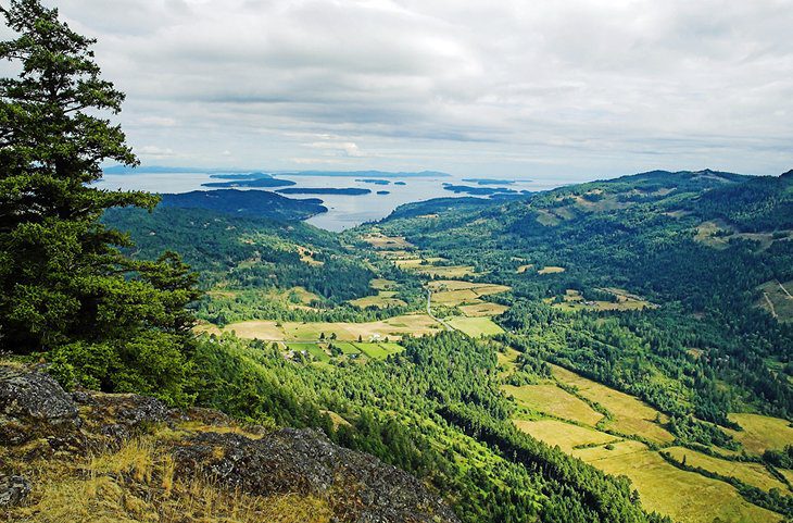 14 Top-Rated Day Trips from Vancouver