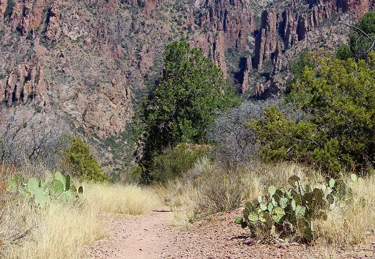 14 Top-Rated Hikes in Big Bend National Park