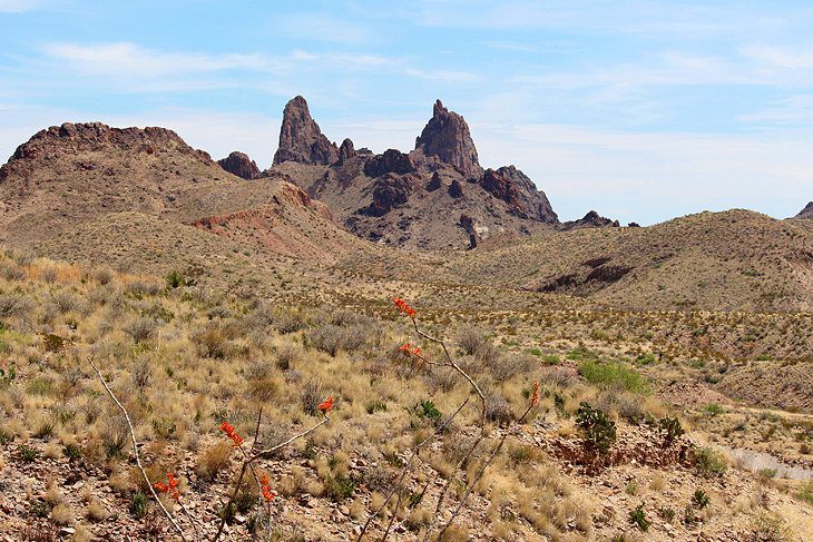 14 Top-Rated Hikes in Big Bend National Park