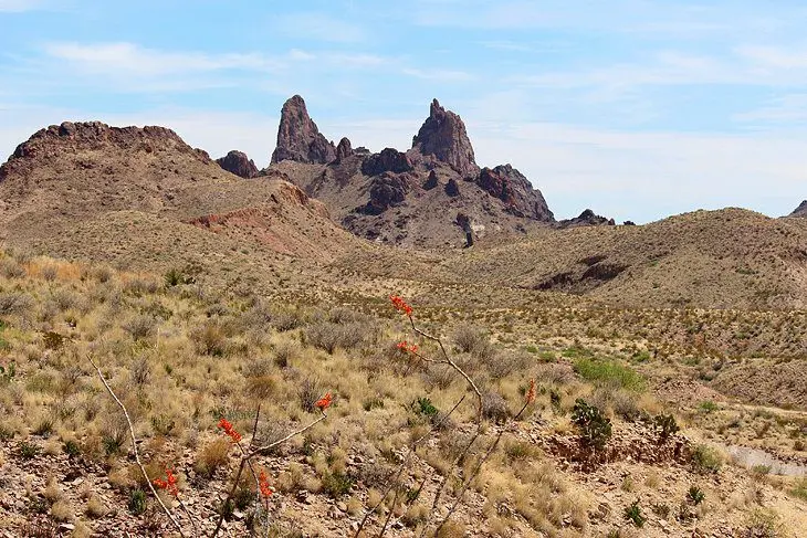 14 Top-Rated Hikes in Big Bend National Park