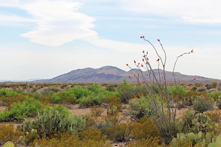 14 Top-Rated Hikes in Big Bend National Park