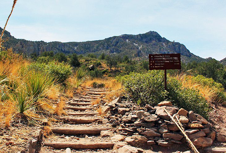 14 Top-Rated Hikes in Big Bend National Park