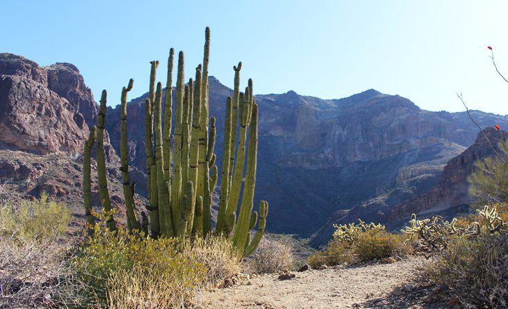 14 Top-Rated Hiking Trails in Arizona