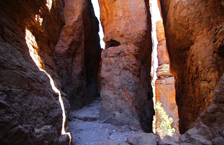 14 Top-Rated Hiking Trails in Arizona