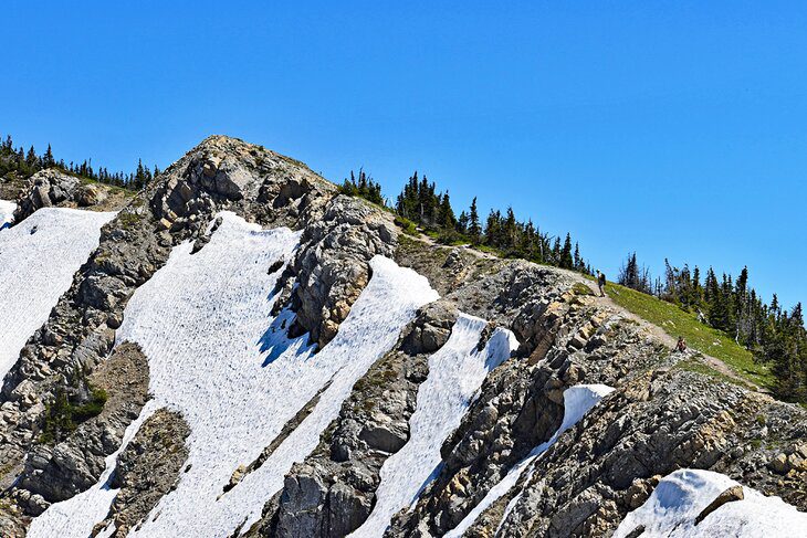 14 Top-Rated Hiking Trails in Montana