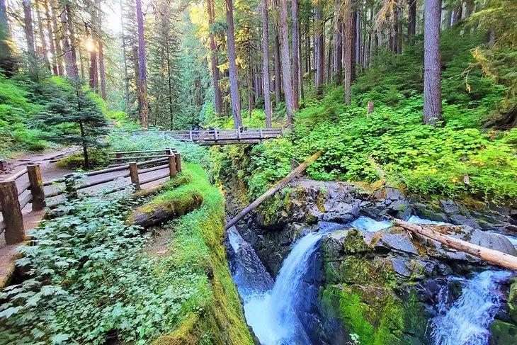 14 Top-Rated Hiking Trails in Olympic National Park