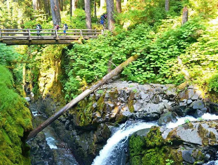 14 Top-Rated Hiking Trails in Olympic National Park