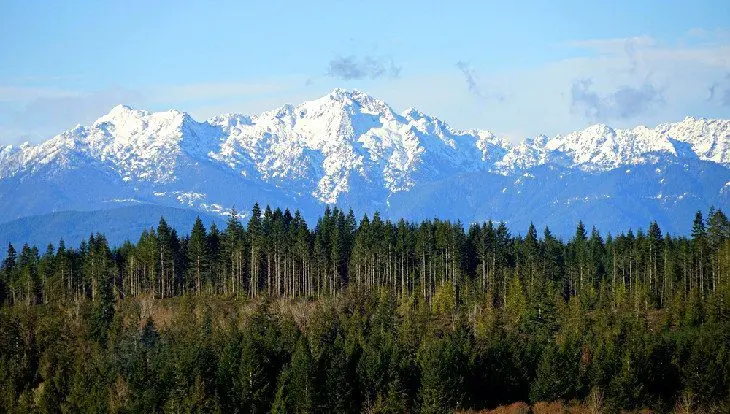 14 Top-Rated Hiking Trails in Olympic National Park