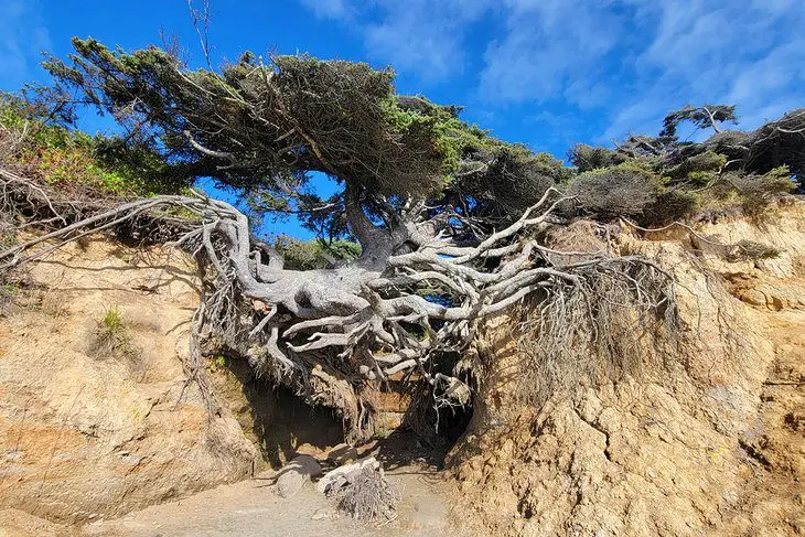 14 Top-Rated Hiking Trails in Olympic National Park