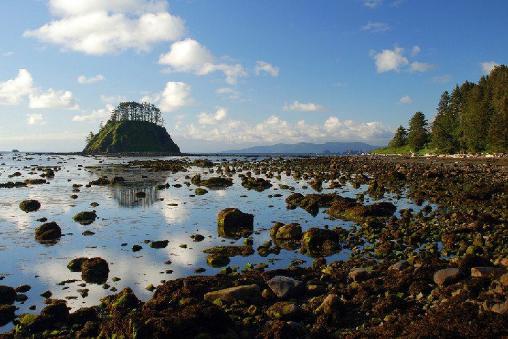 14 Top-Rated Hiking Trails in Olympic National Park