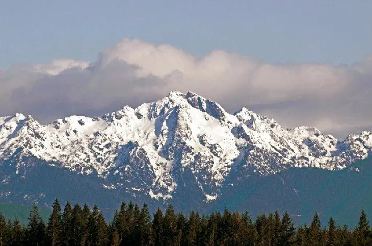 14 Top-Rated Hiking Trails in Olympic National Park