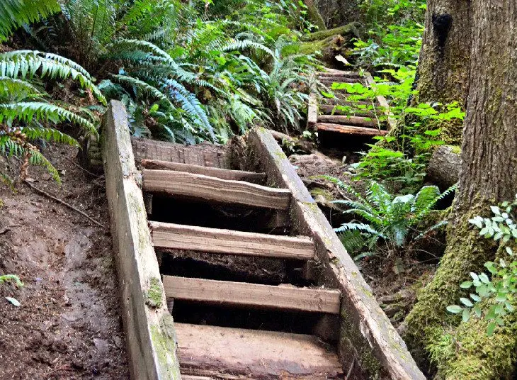 14 Top-Rated Hiking Trails in Olympic National Park