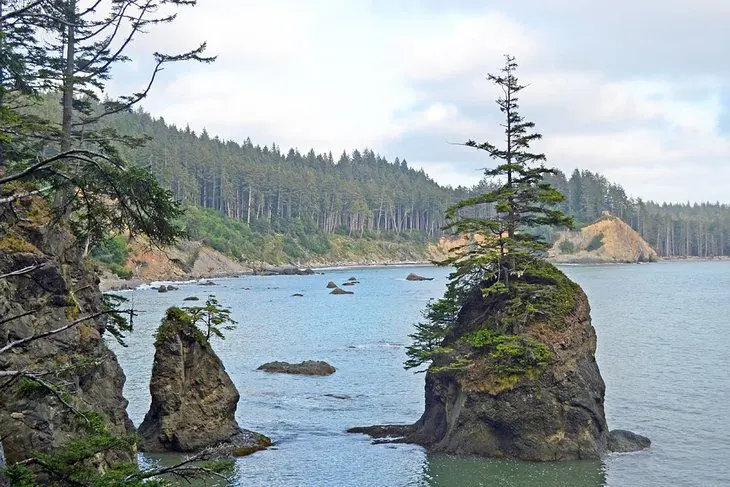 14 Top-Rated Hiking Trails in Olympic National Park