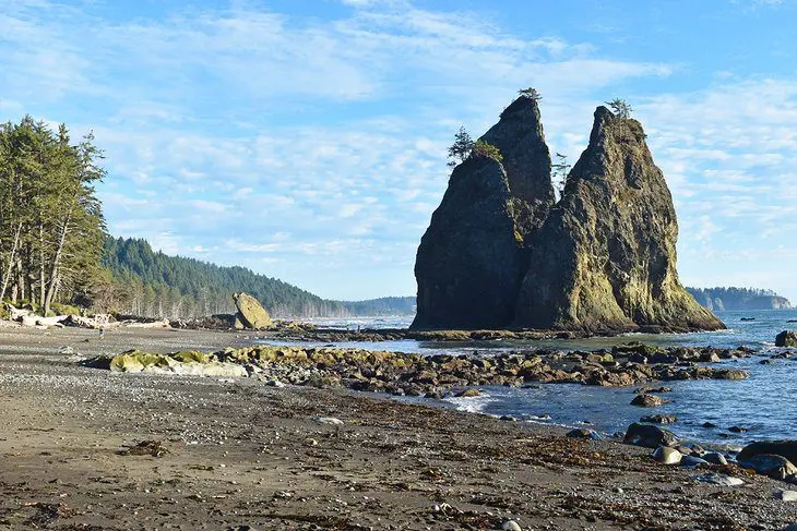 14 Top-Rated Hiking Trails in Olympic National Park