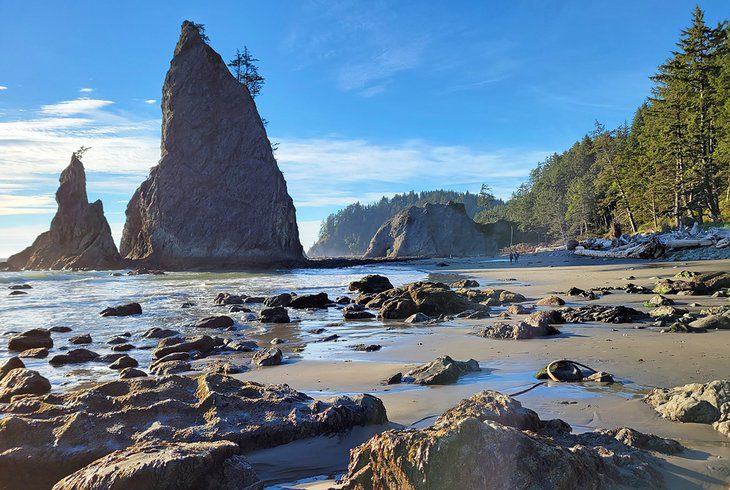 14 Top-Rated Hiking Trails in Olympic National Park