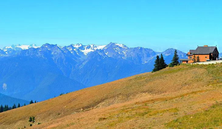 14 Top-Rated Hiking Trails in Olympic National Park