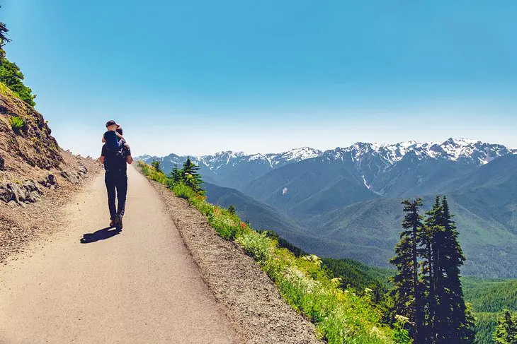 14 Top-Rated Hiking Trails in Olympic National Park