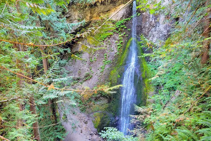 14 Top-Rated Hiking Trails in Olympic National Park