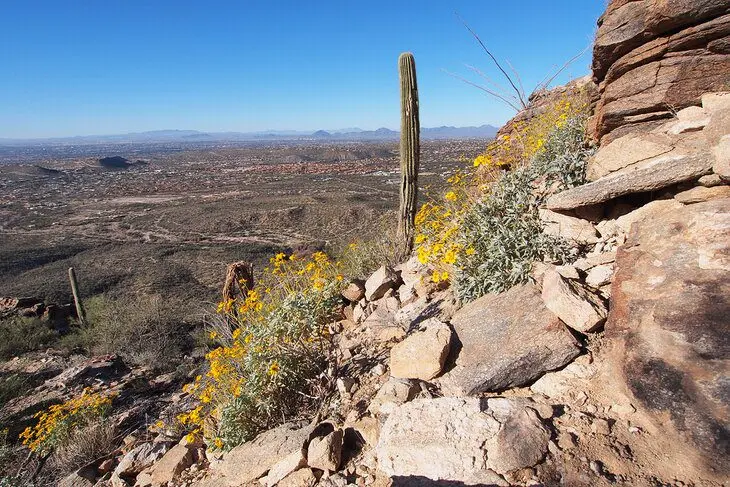 14 Top-Rated Hiking Trails in Tucson