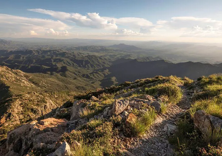 14 Top-Rated Hiking Trails in Tucson