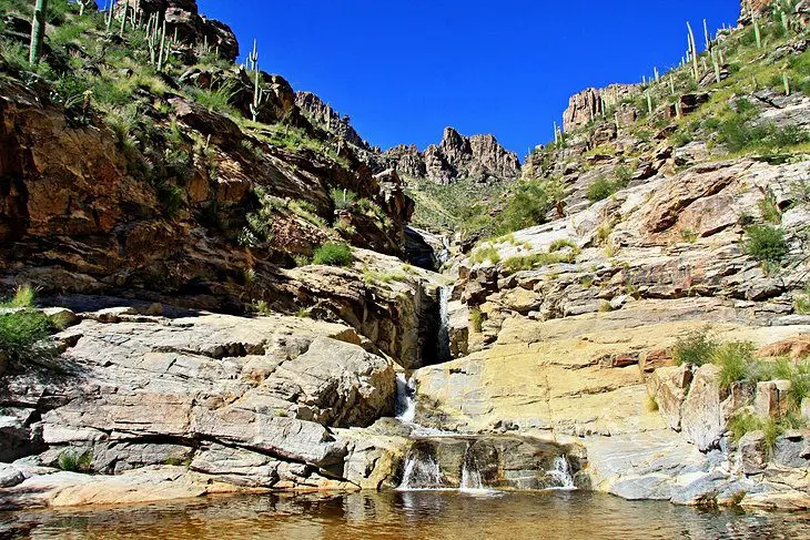 14 Top-Rated Hiking Trails in Tucson