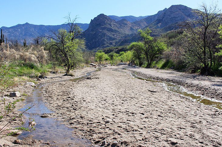 14 Top-Rated Hiking Trails in Tucson