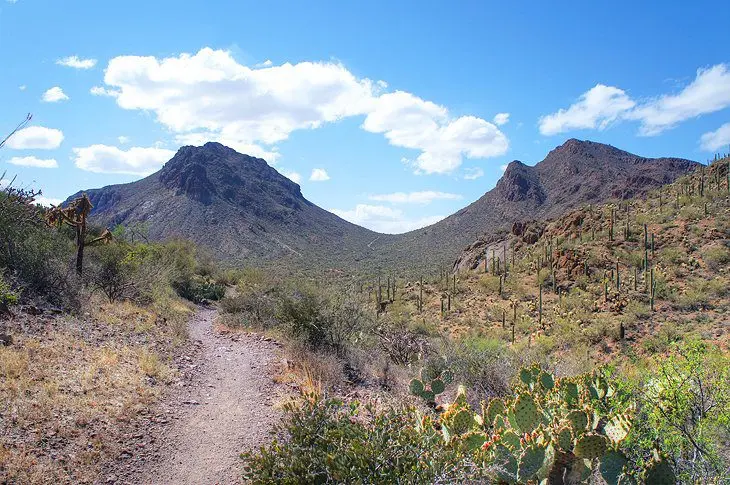 14 Top-Rated Hiking Trails in Tucson