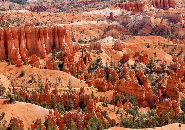 14 Top-Rated Hiking Trails in Utah