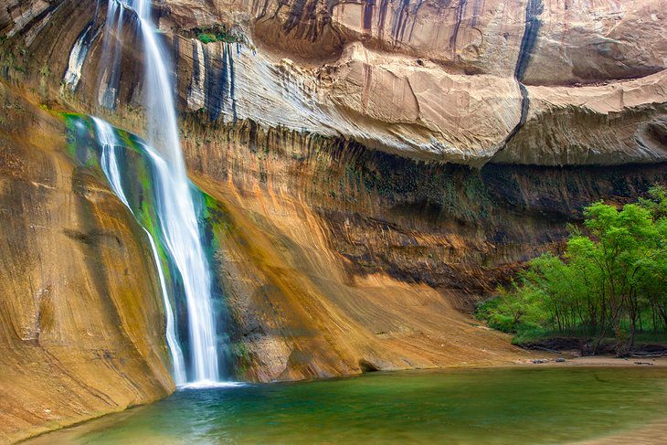 14 Top-Rated Hiking Trails in Utah