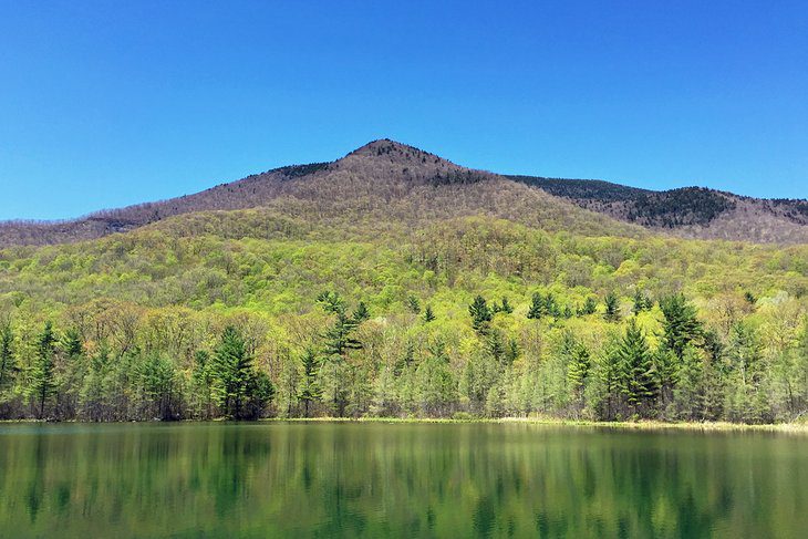 14 Top-Rated Hiking Trails in Vermont