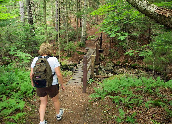 14 Top-Rated Hiking Trails in Vermont