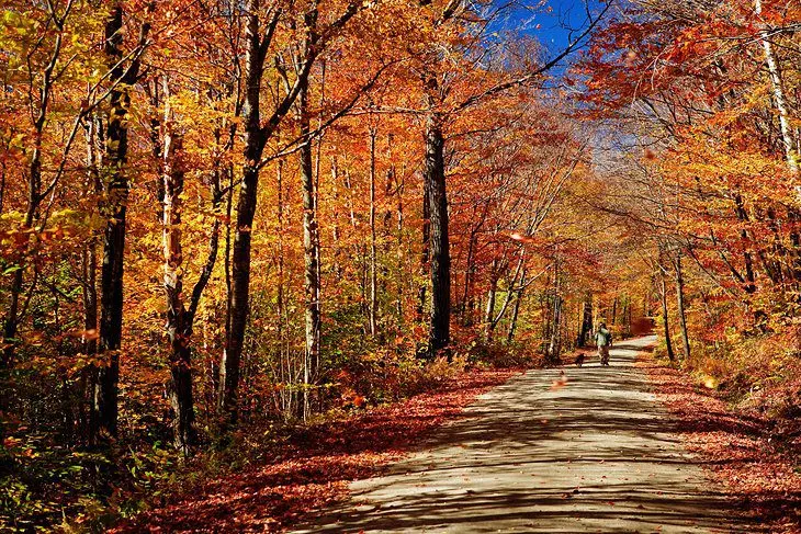 14 Top-Rated Hiking Trails in Vermont