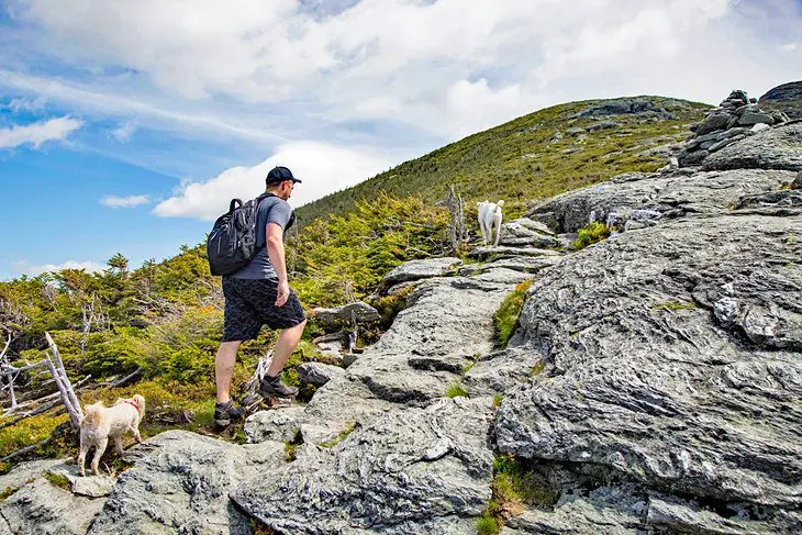 14 Top-Rated Hiking Trails in Vermont