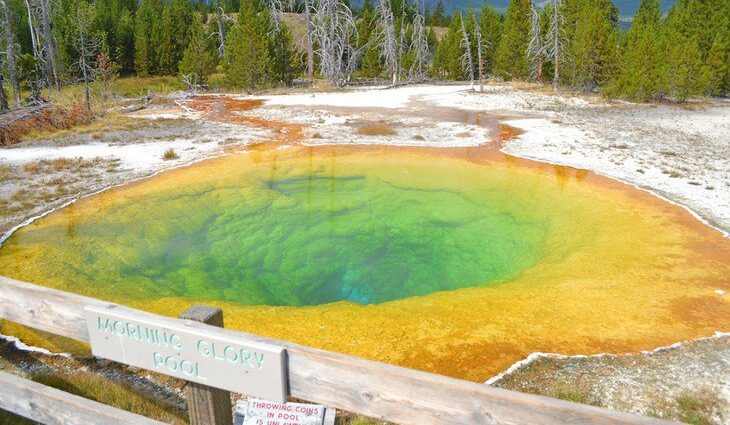 14 Top-Rated Hiking Trails in Yellowstone National Park