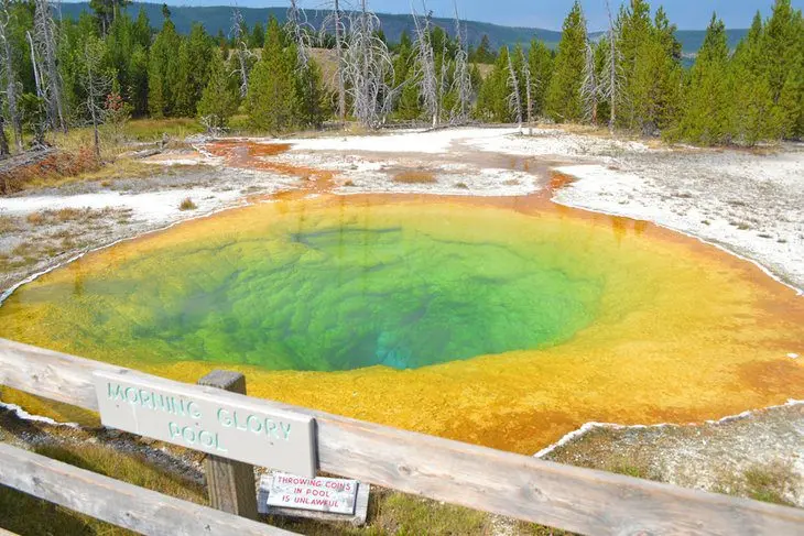 14 Top-Rated Hiking Trails in Yellowstone National Park