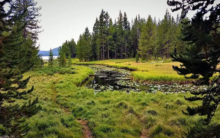 14 Top-Rated Hiking Trails in Yellowstone National Park