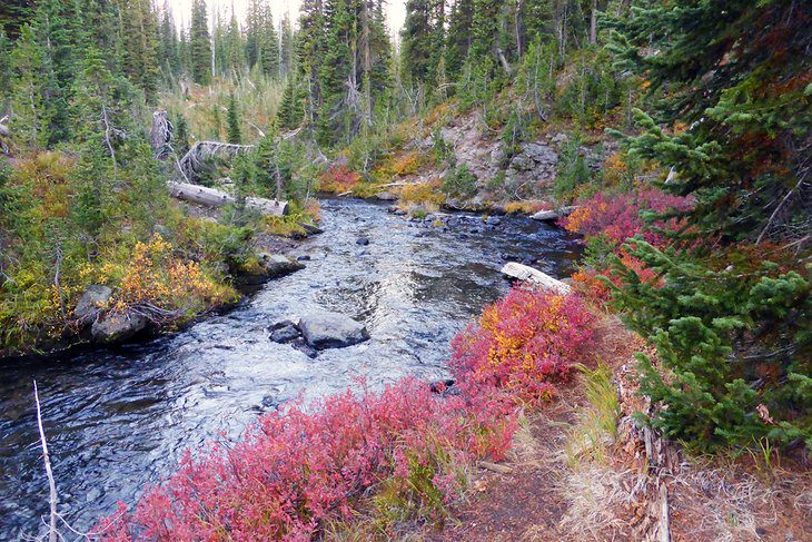 14 Top-Rated Hiking Trails in Yellowstone National Park