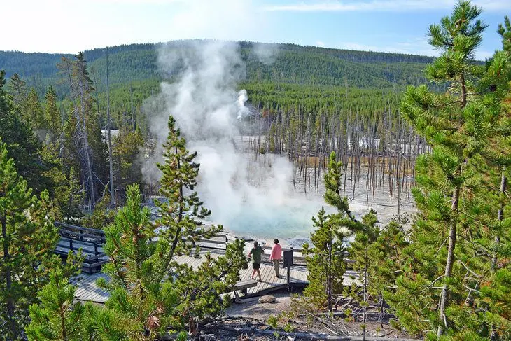 14 Top-Rated Hiking Trails in Yellowstone National Park