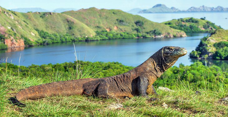 14 Top-Rated Islands in Indonesia