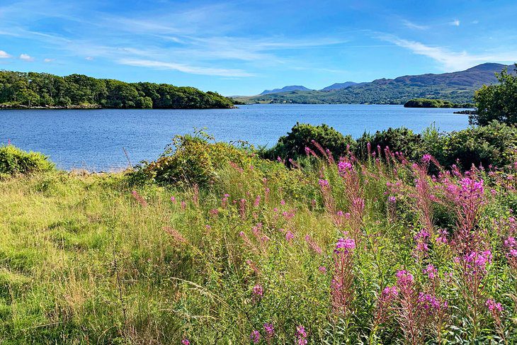 14 Top-Rated Lakes in Wales