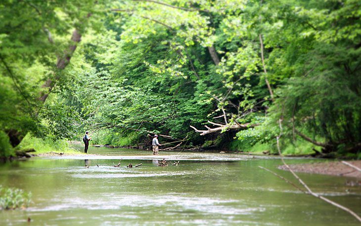 14 Top-Rated Outdoor Adventures in Ohio