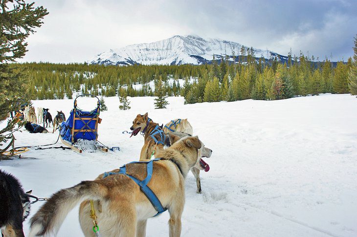 14 Top-Rated Things to Do in Big Sky, MT