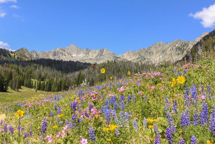 14 Top-Rated Things to Do in Big Sky, MT