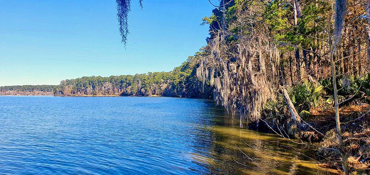 14 Top-Rated Things to Do in Conroe, TX