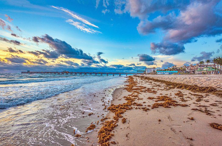 14 Top-Rated Things to Do in Deerfield Beach, FL