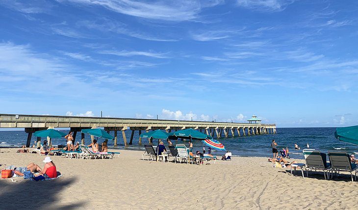 14 Top-Rated Things to Do in Deerfield Beach, FL